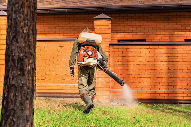 Trusted Termite Control service in Horse Cave, KY - Nex Pest Control